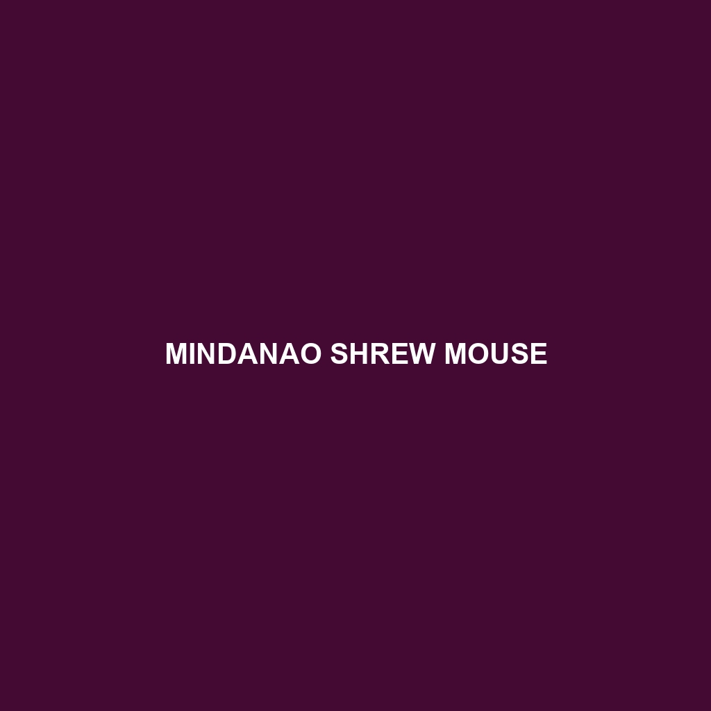 Mindanao Shrew Mouse