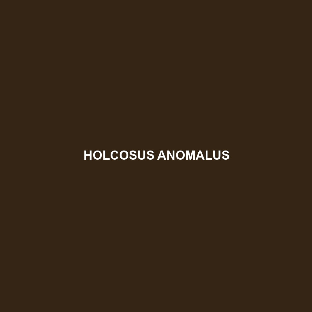 Holcosus anomalus