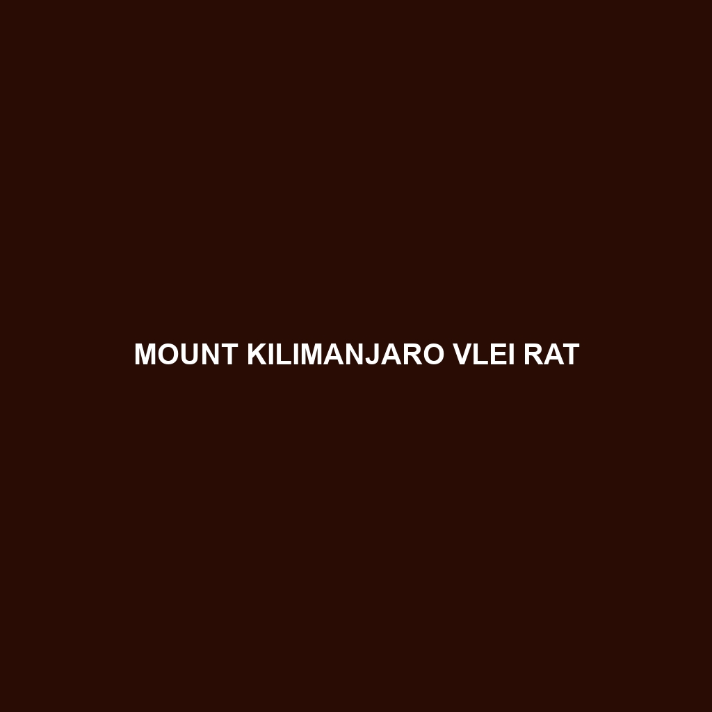 Mount Kilimanjaro Vlei Rat