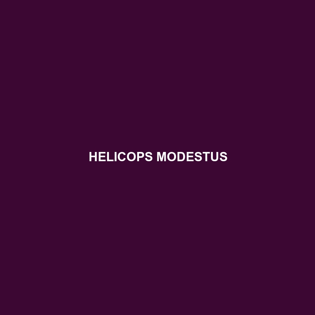 Helicops modestus