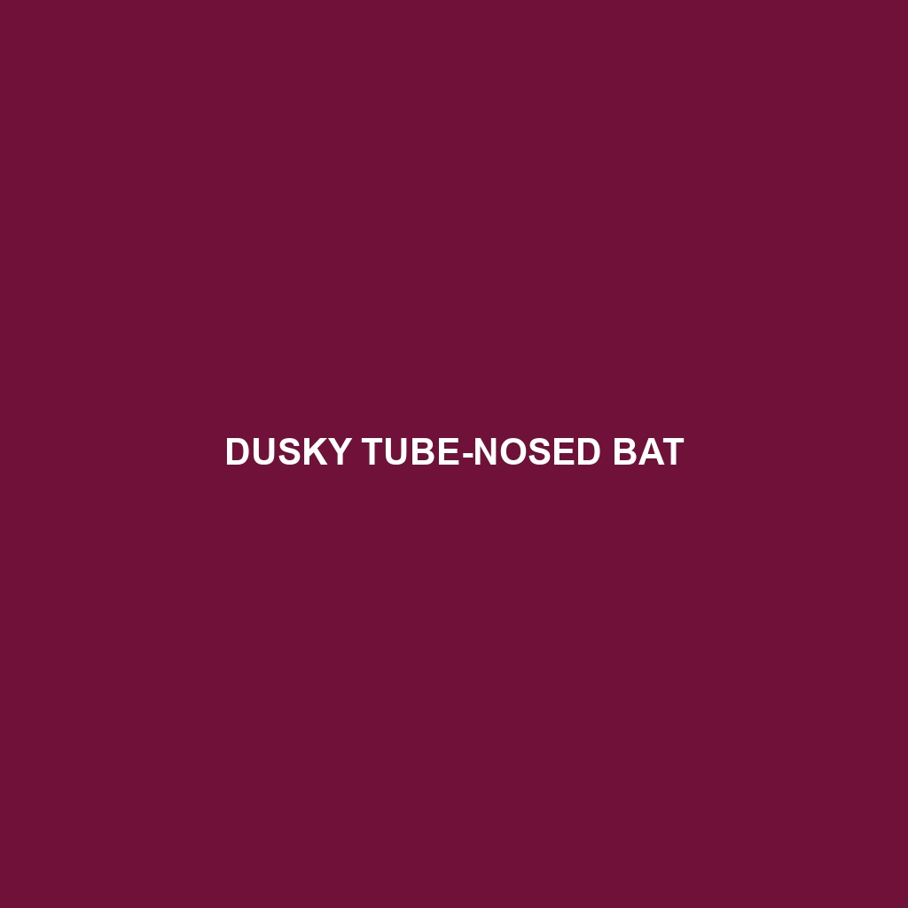 Dusky Tube-nosed Bat