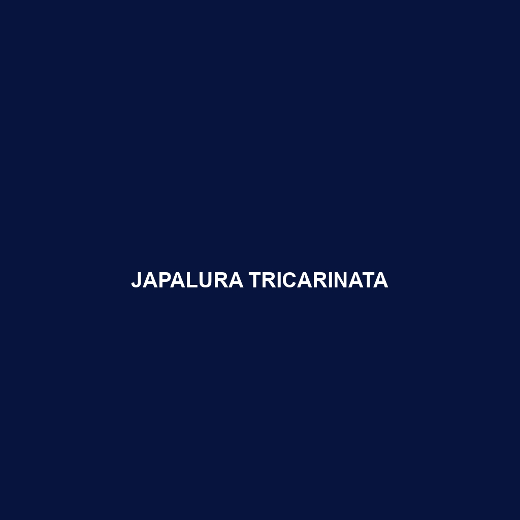 Japalura tricarinata