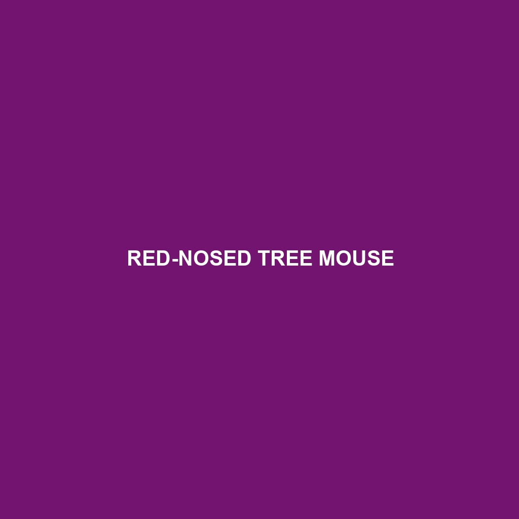 Red-nosed Tree Mouse