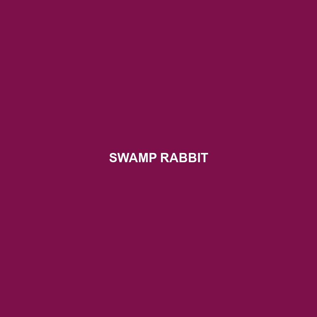 Swamp Rabbit