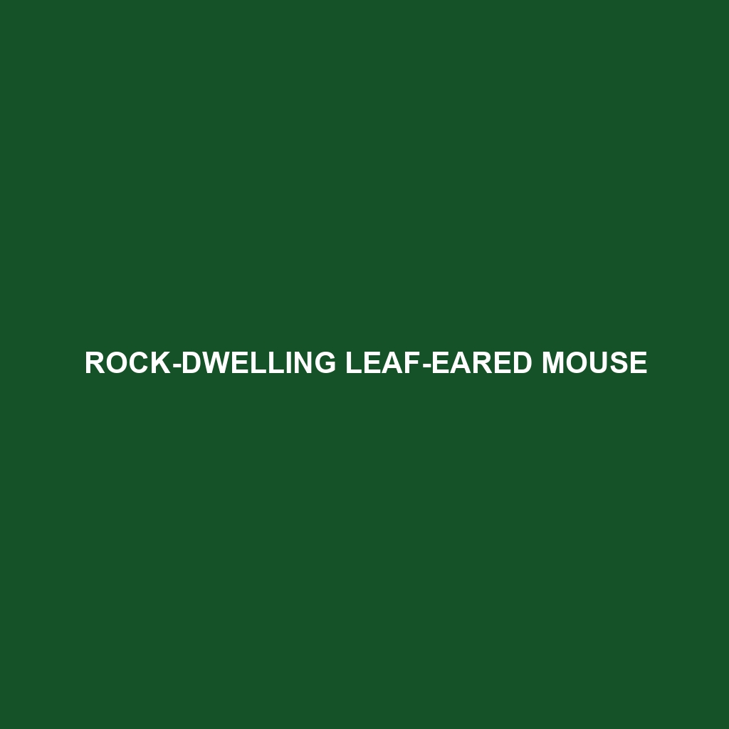 Rock-dwelling Leaf-eared Mouse