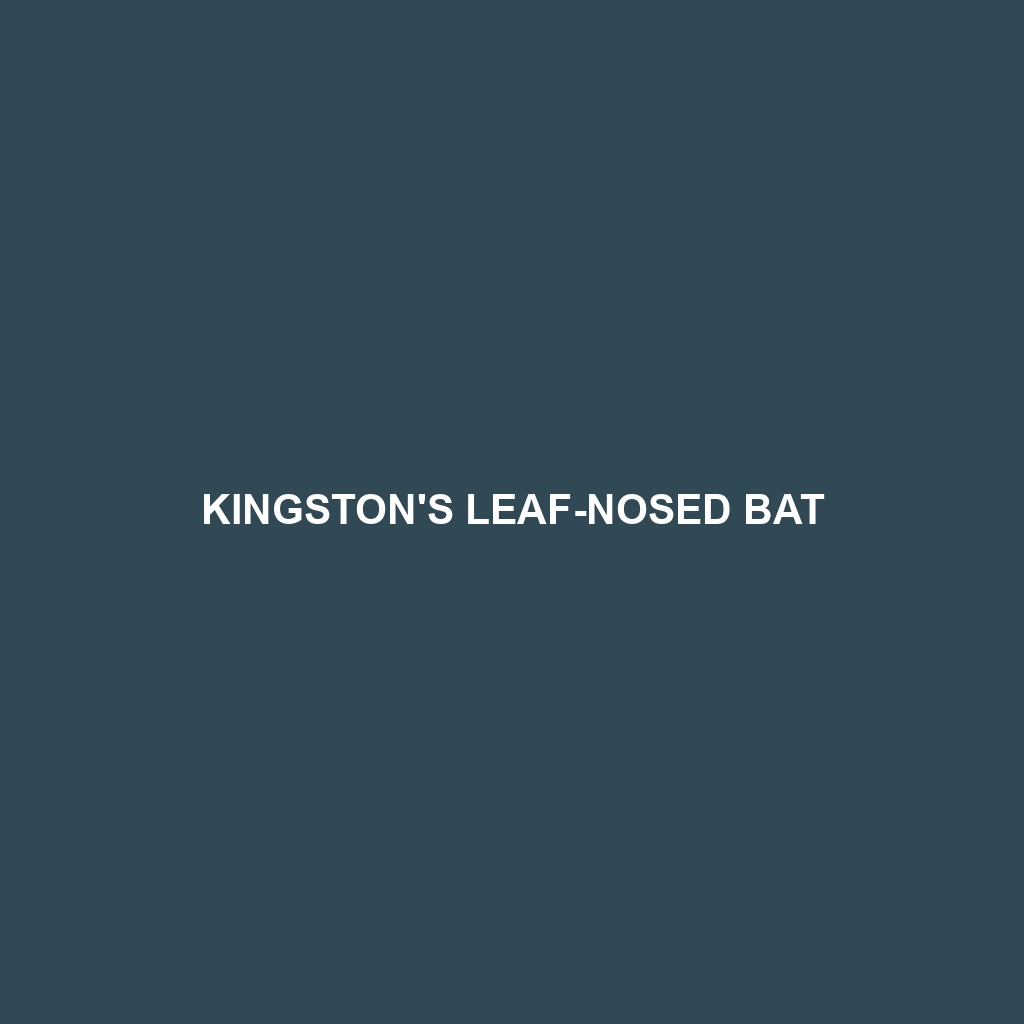 Kingston's Leaf-nosed Bat