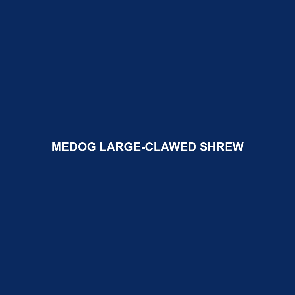 Medog Large-clawed Shrew