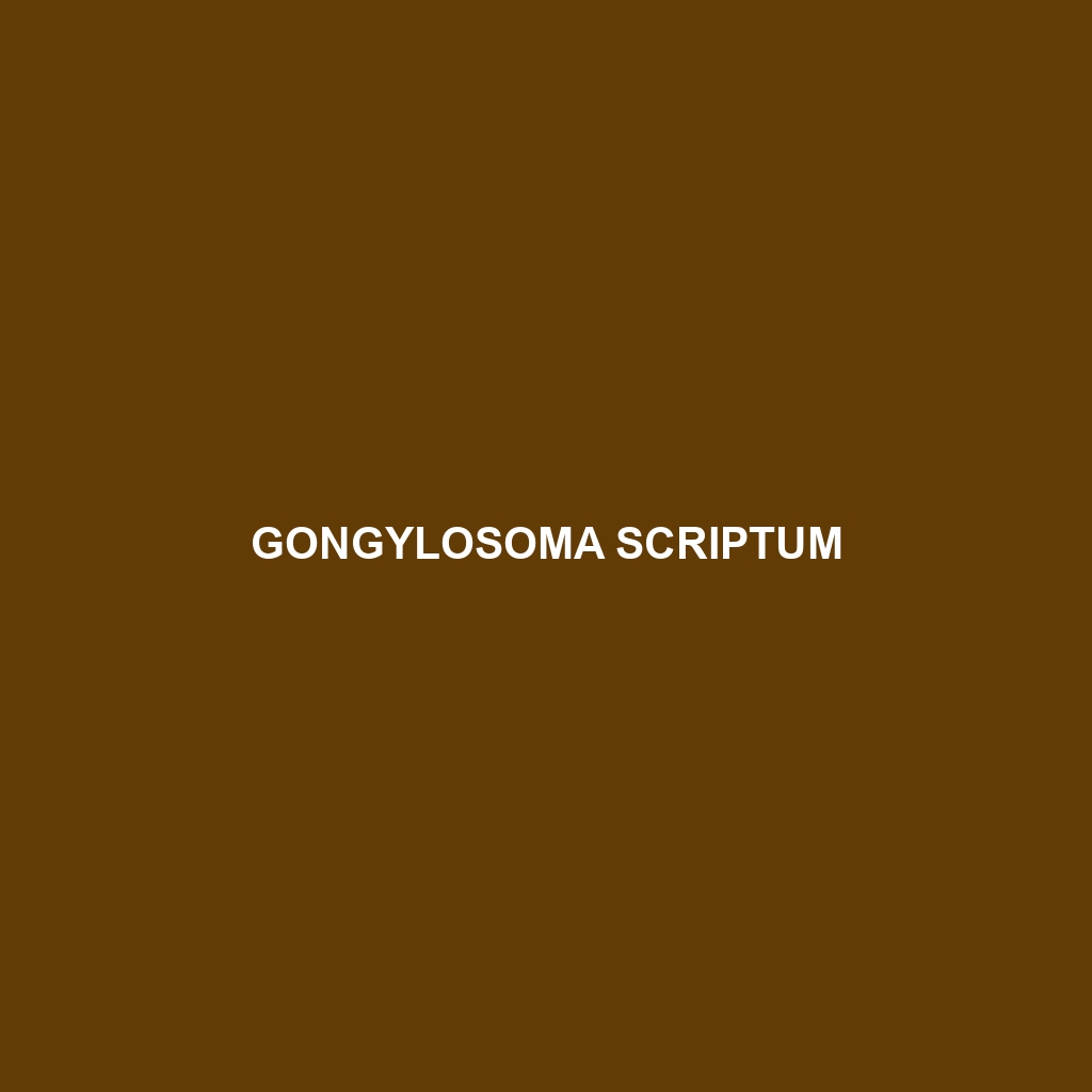 Gongylosoma scriptum