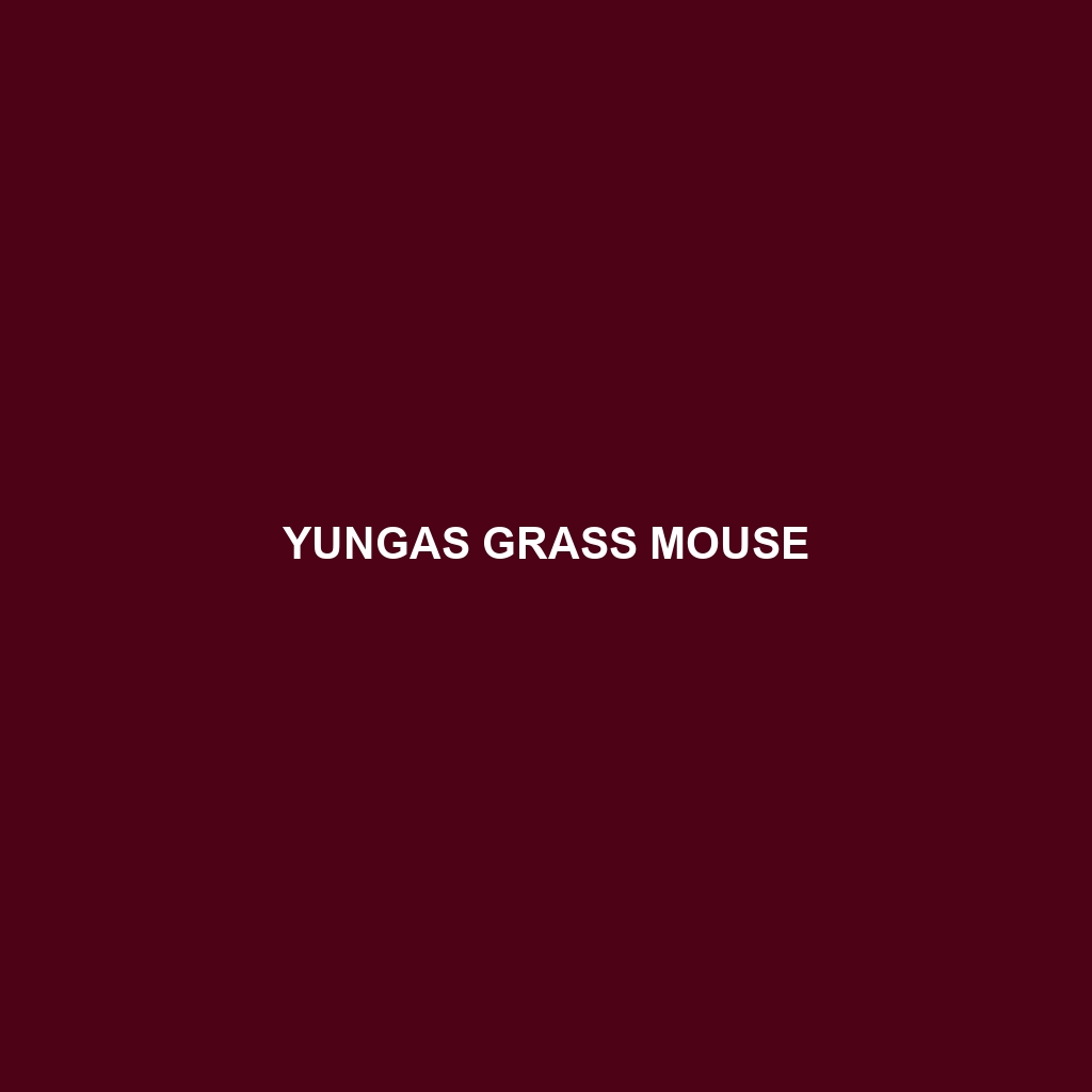 Yungas Grass Mouse