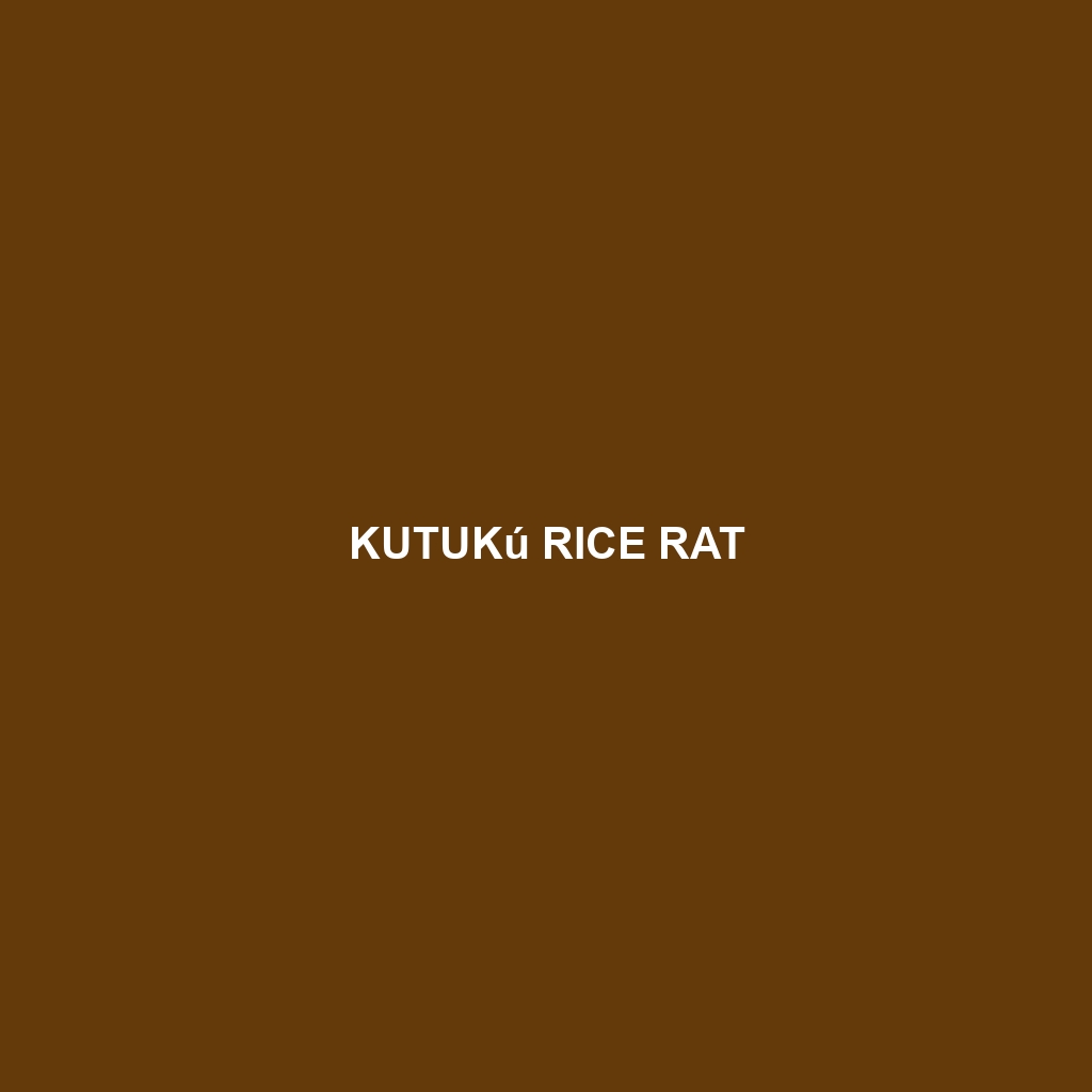 Kutukú Rice Rat