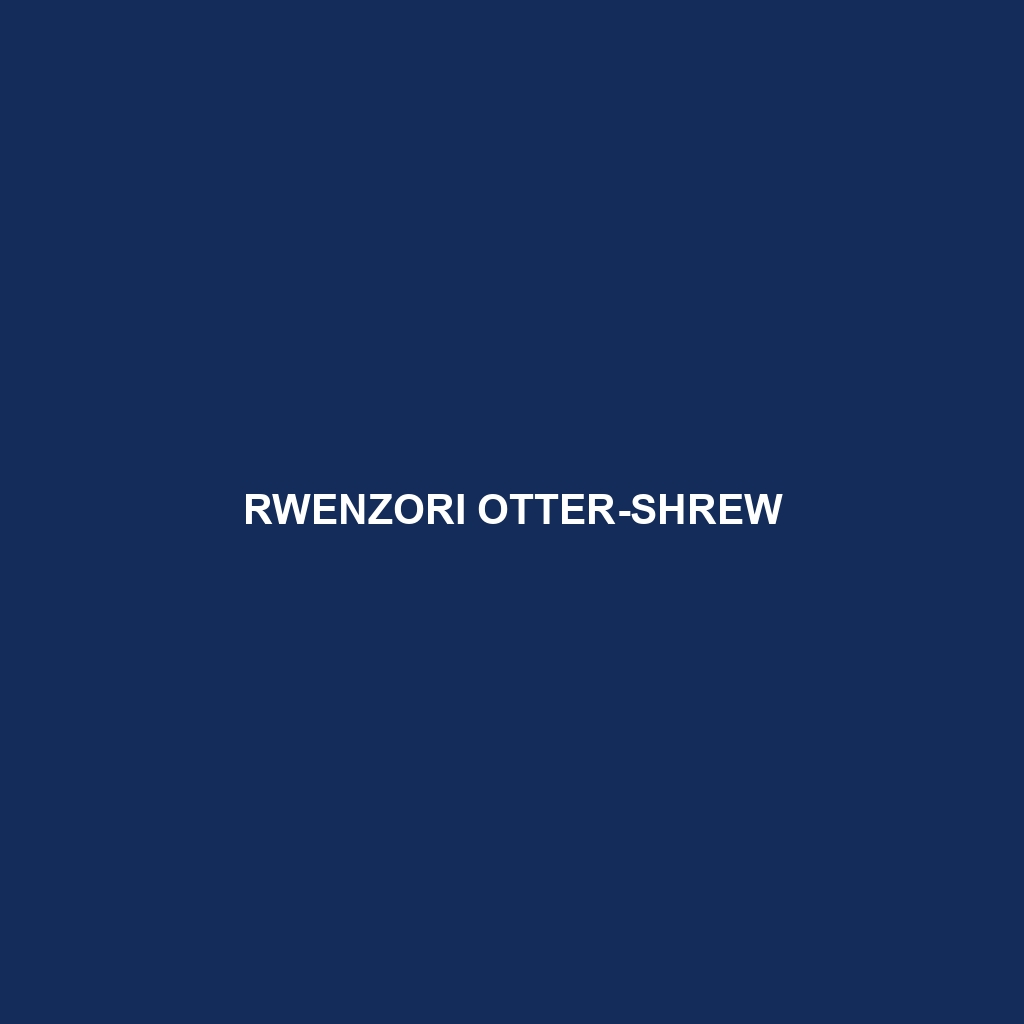 Rwenzori Otter-shrew