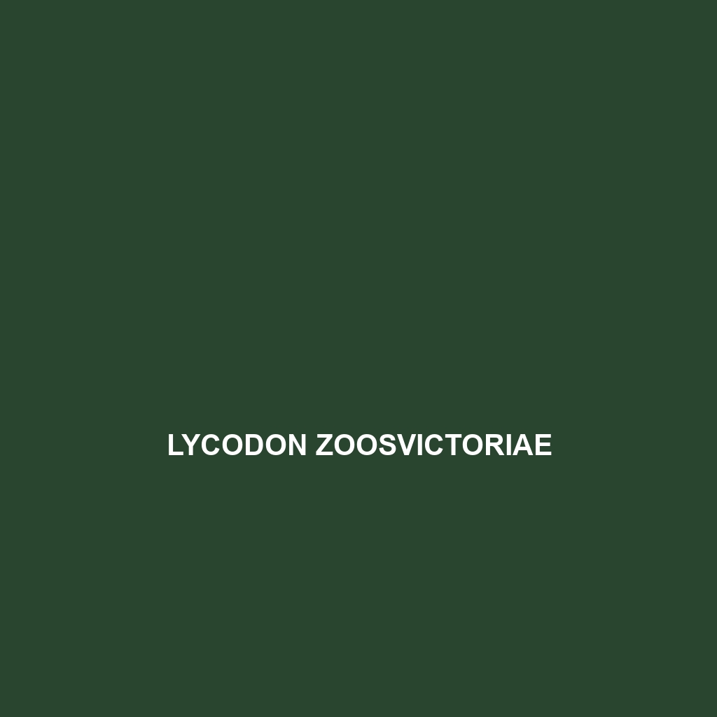 Lycodon zoosvictoriae