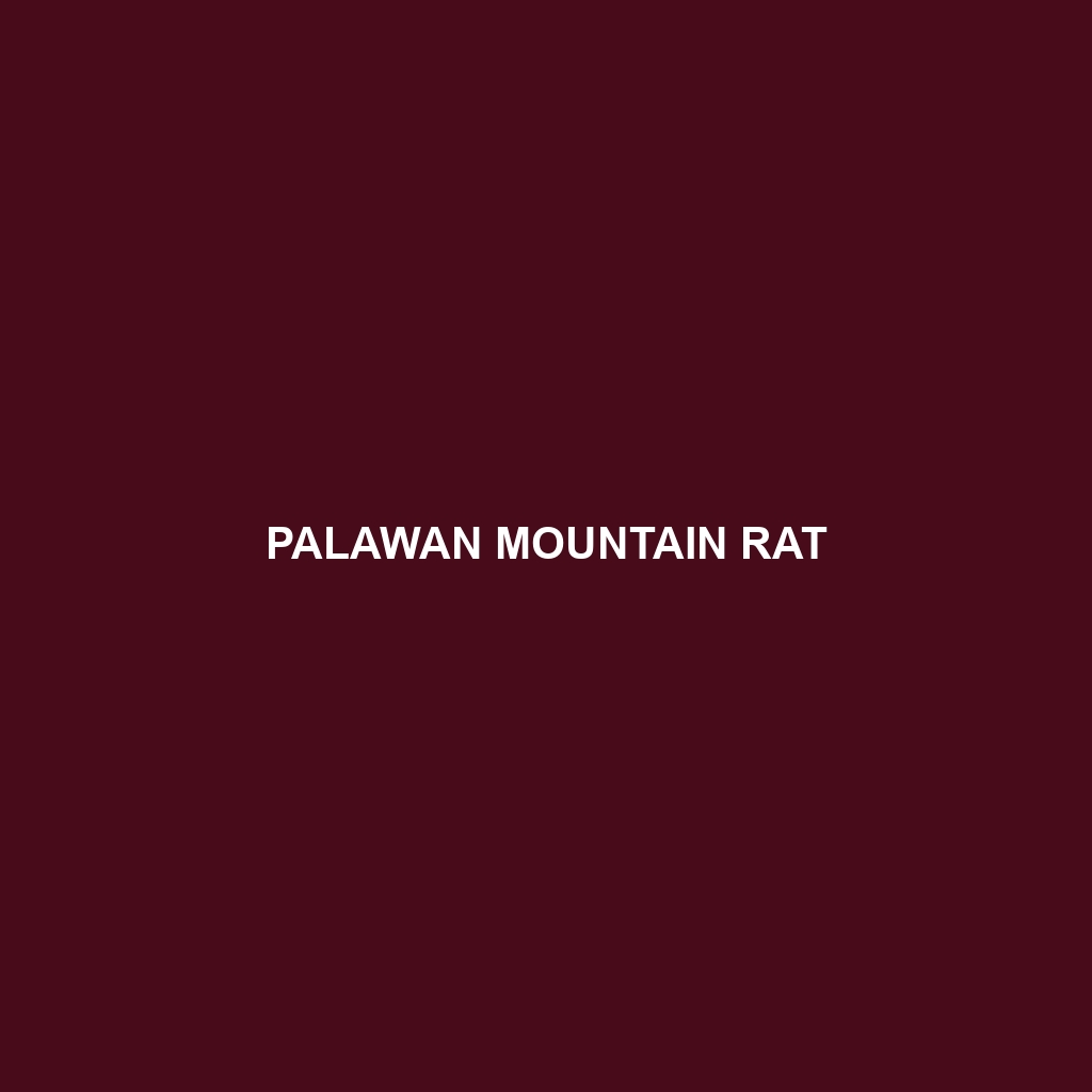 Palawan Mountain Rat