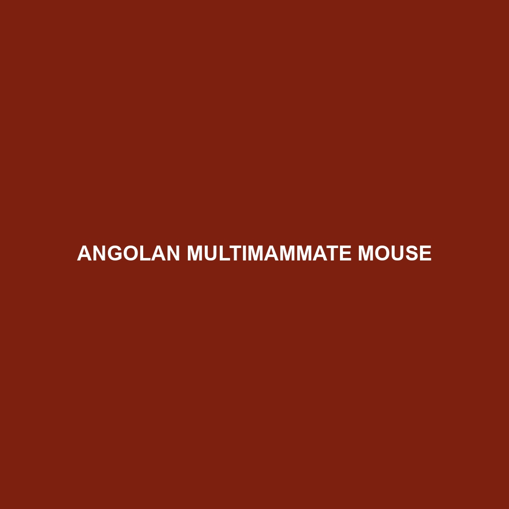 Angolan Multimammate Mouse