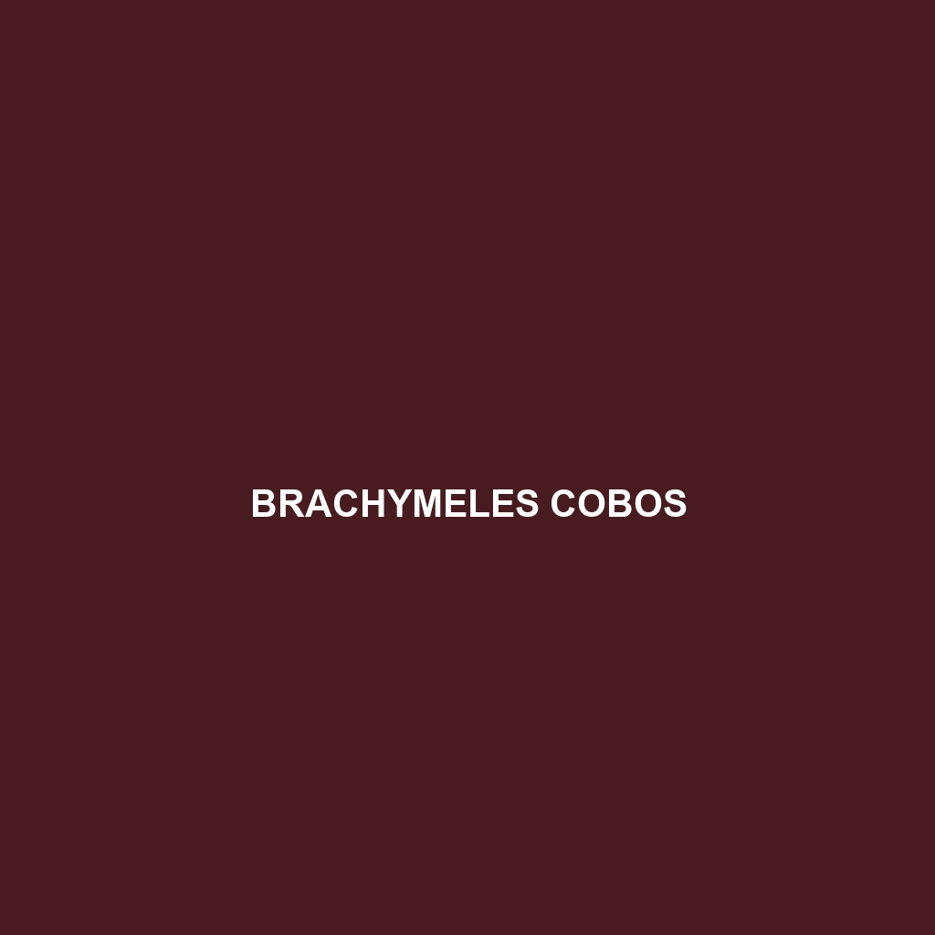 Brachymeles cobos