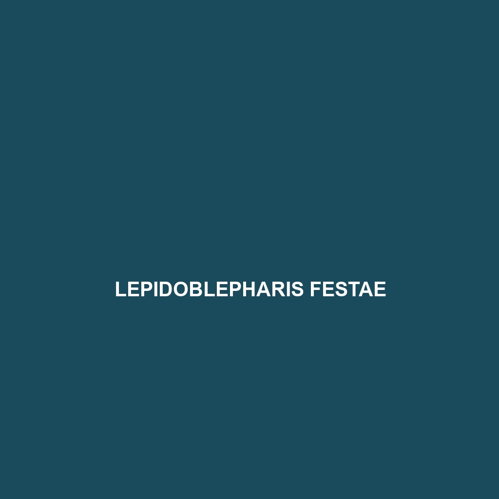 Lepidoblepharis festae