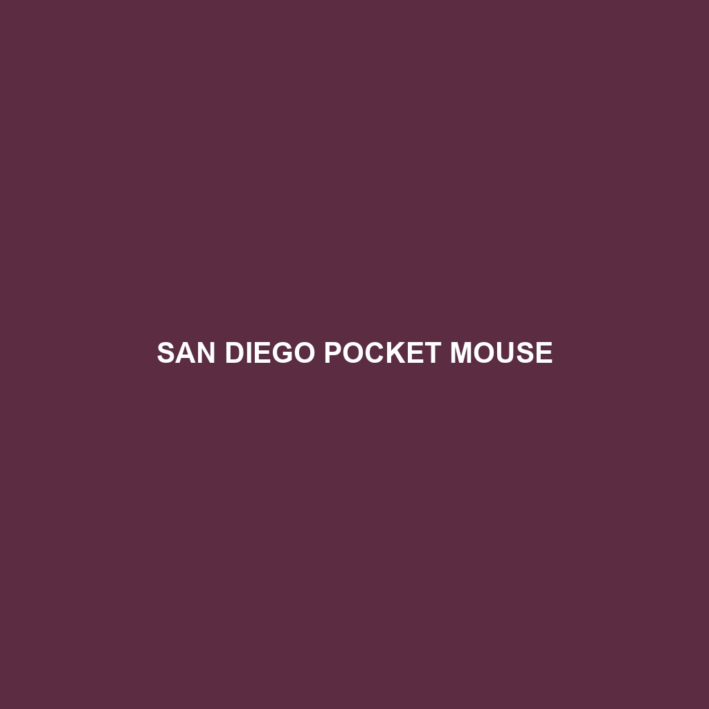 San Diego Pocket Mouse