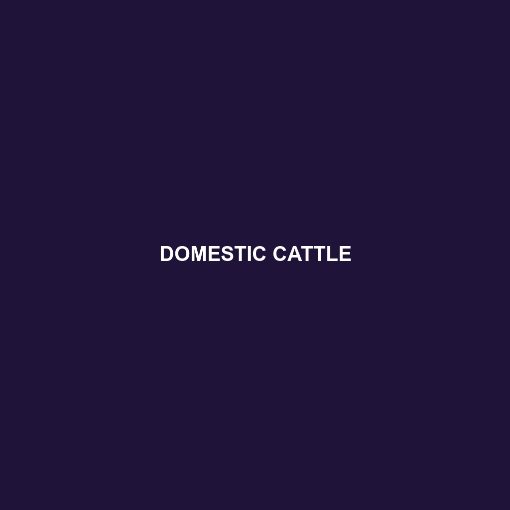 Domestic Cattle