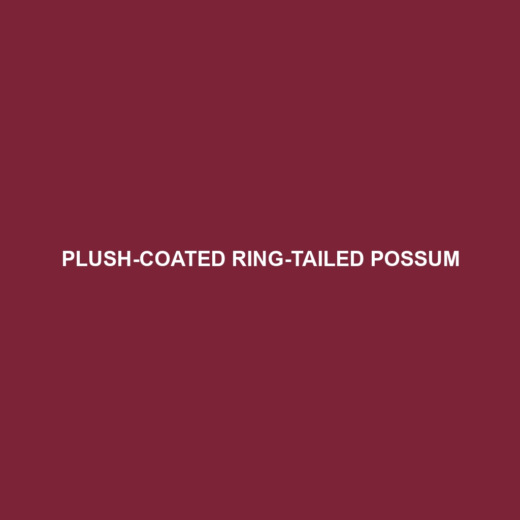 Plush-coated Ring-tailed Possum