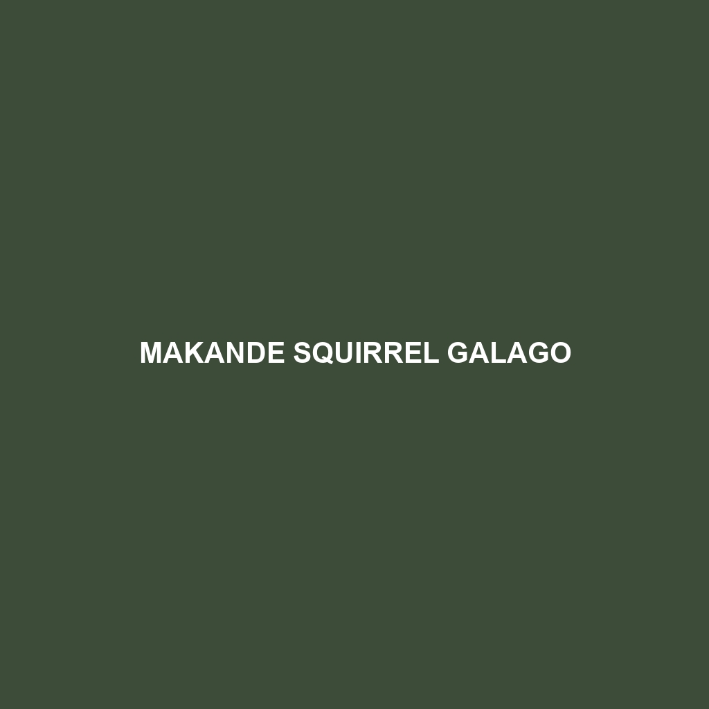 Makande Squirrel Galago