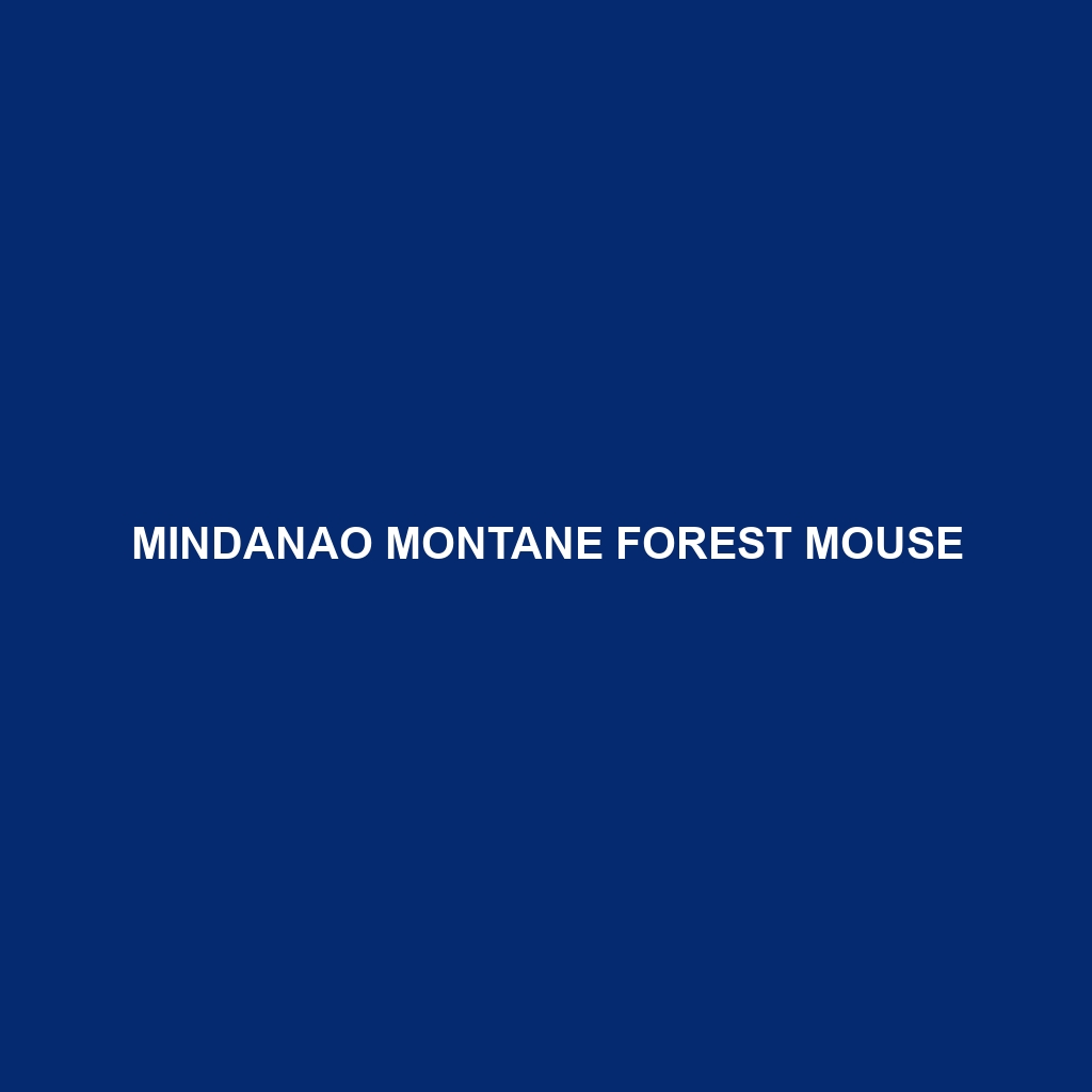 Mindanao Montane Forest Mouse