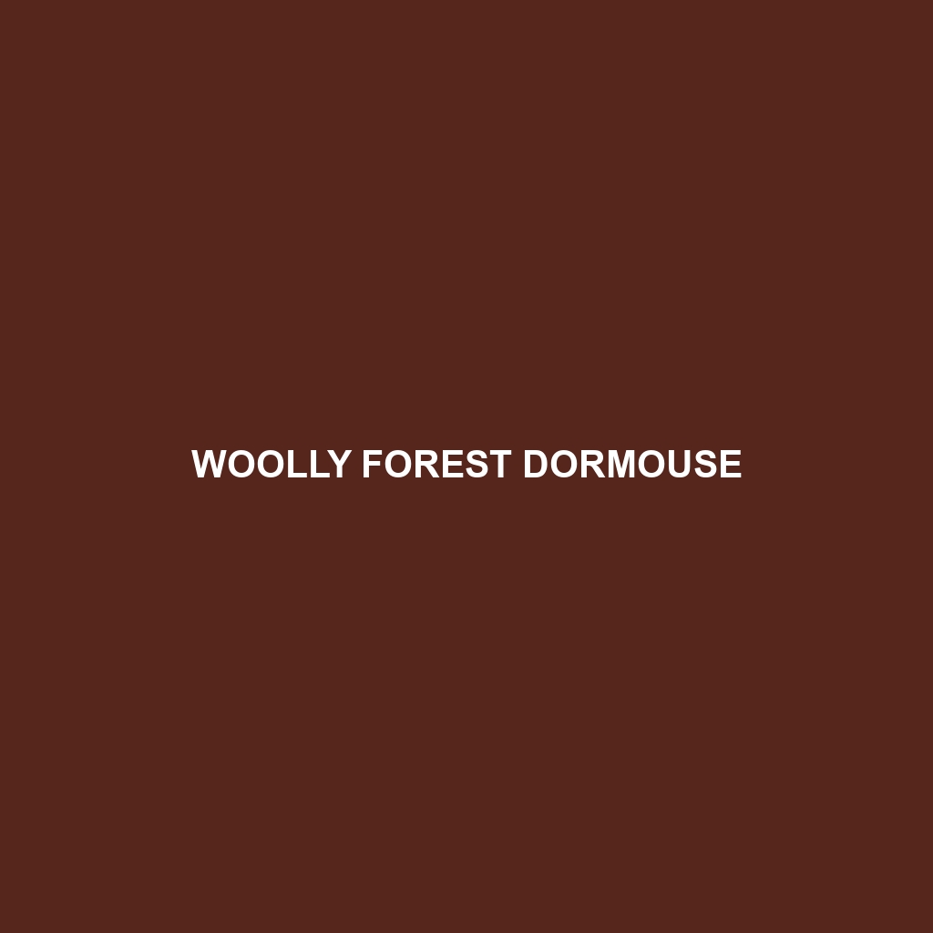 Woolly Forest Dormouse