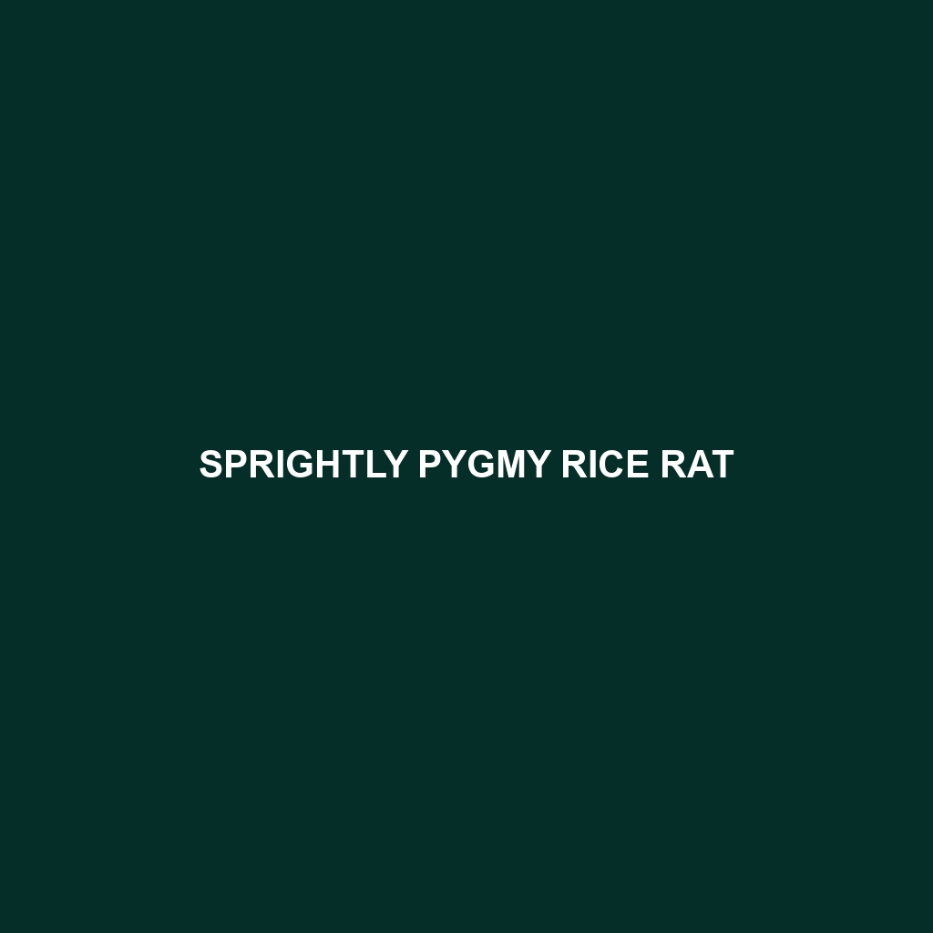 Sprightly Pygmy Rice Rat