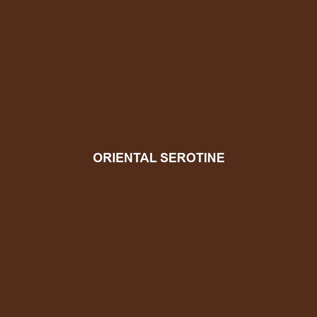 Oriental Serotine