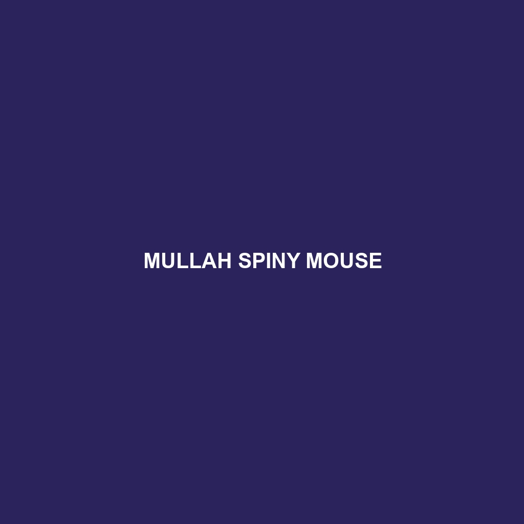 Mullah Spiny Mouse