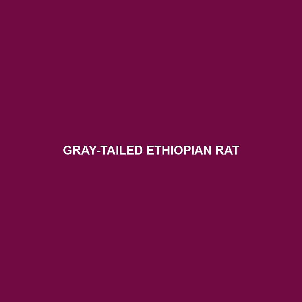 Gray-tailed Ethiopian Rat