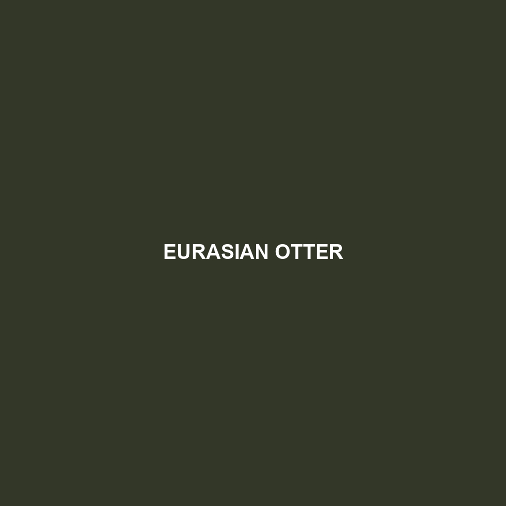 Eurasian Otter