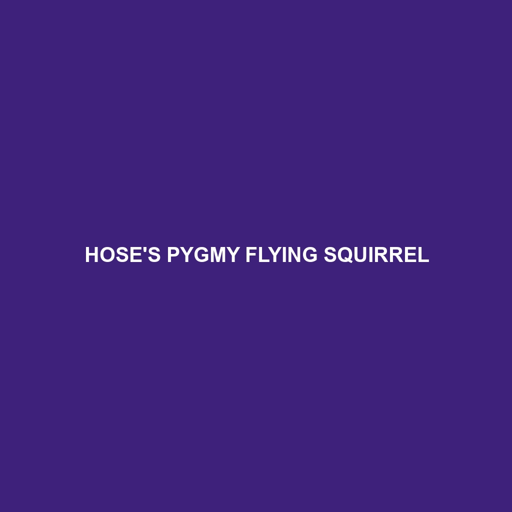 Hose's Pygmy Flying Squirrel