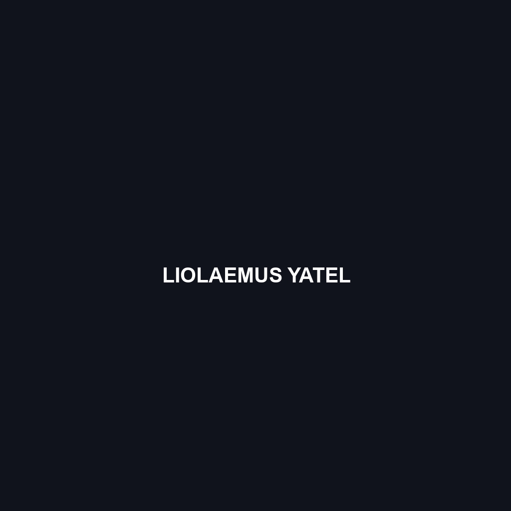 Liolaemus yatel