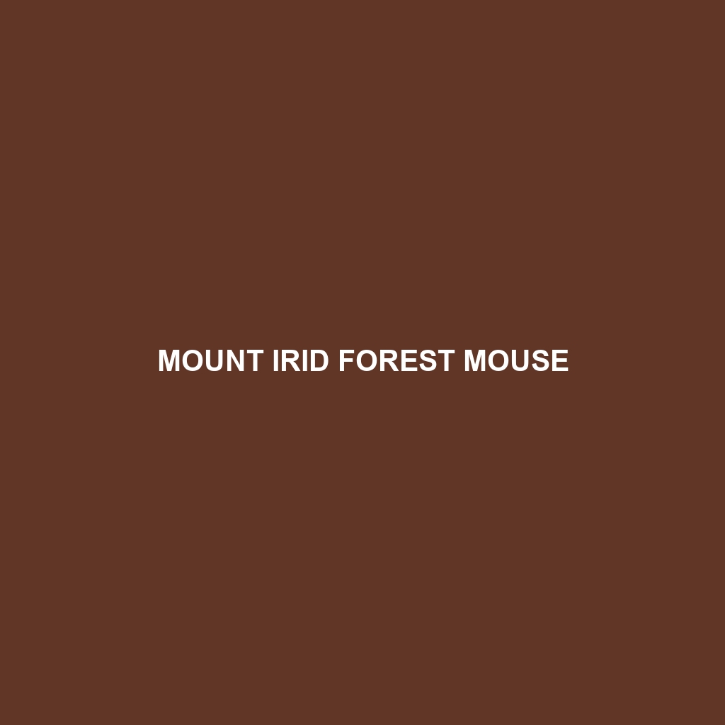 Mount Irid Forest Mouse