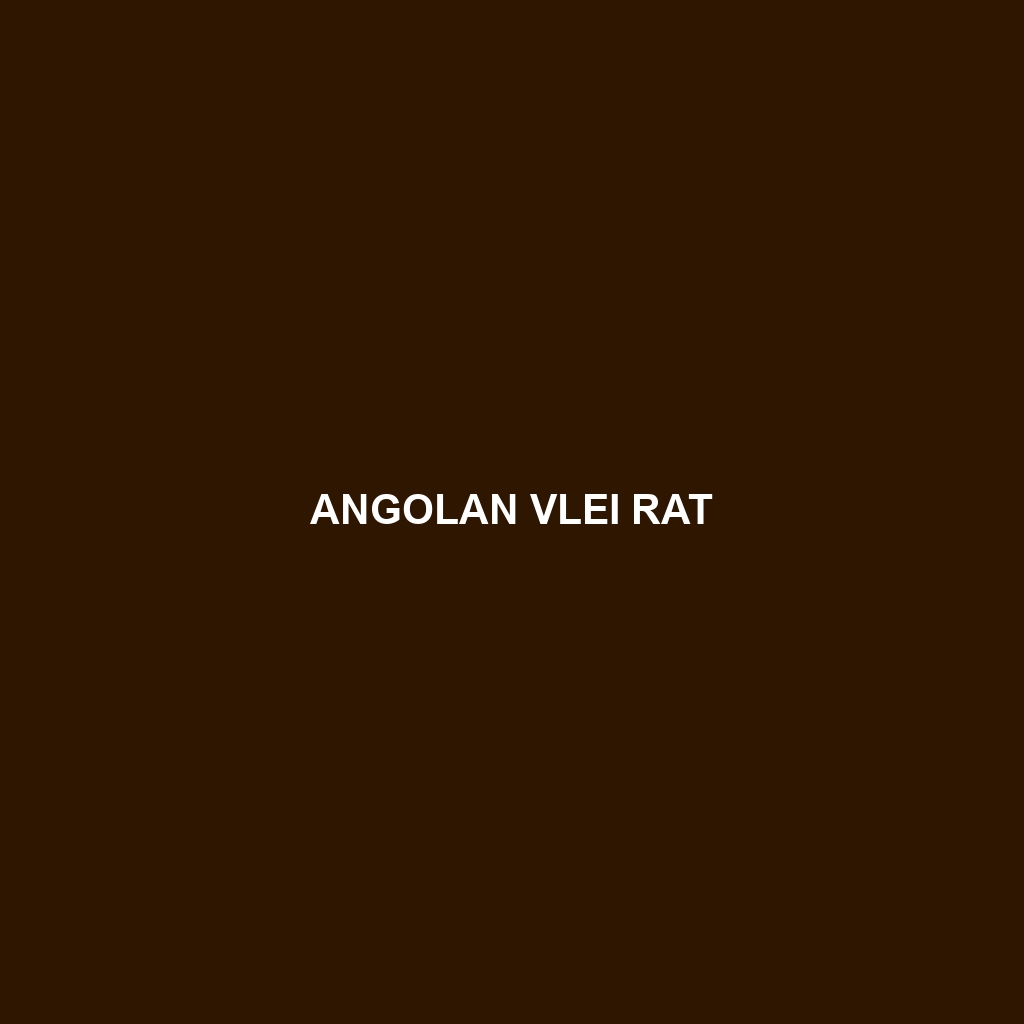 Angolan Vlei Rat