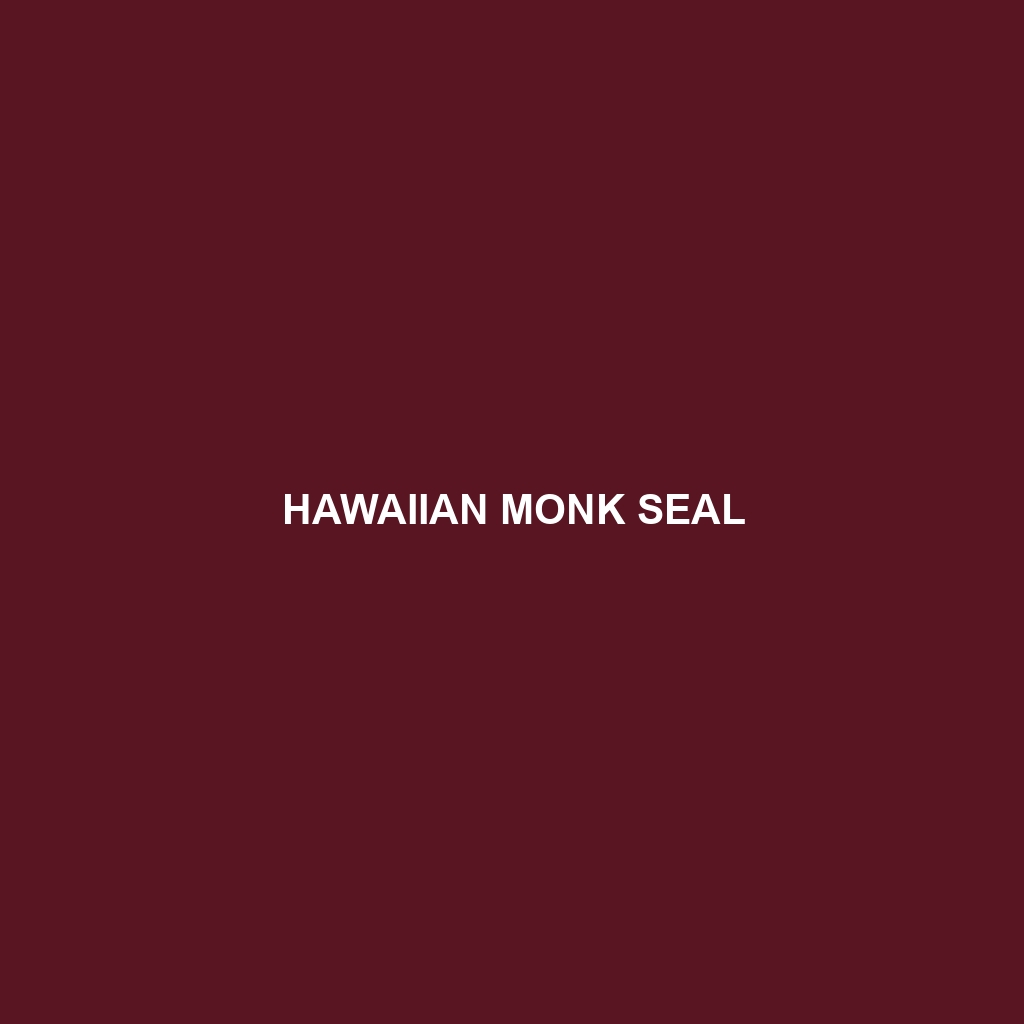 Hawaiian Monk Seal