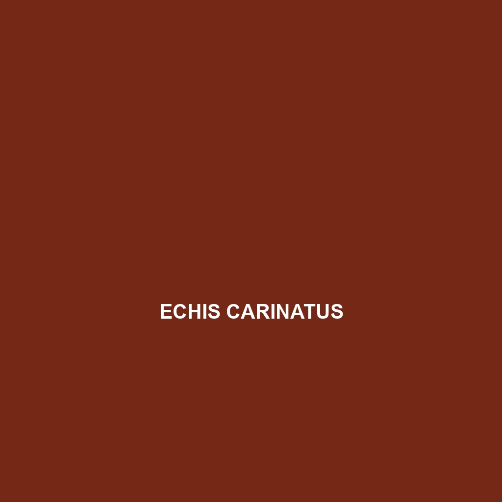 Echis carinatus