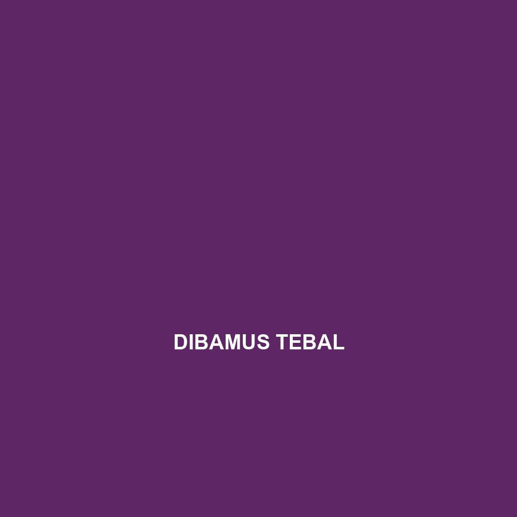 Dibamus tebal