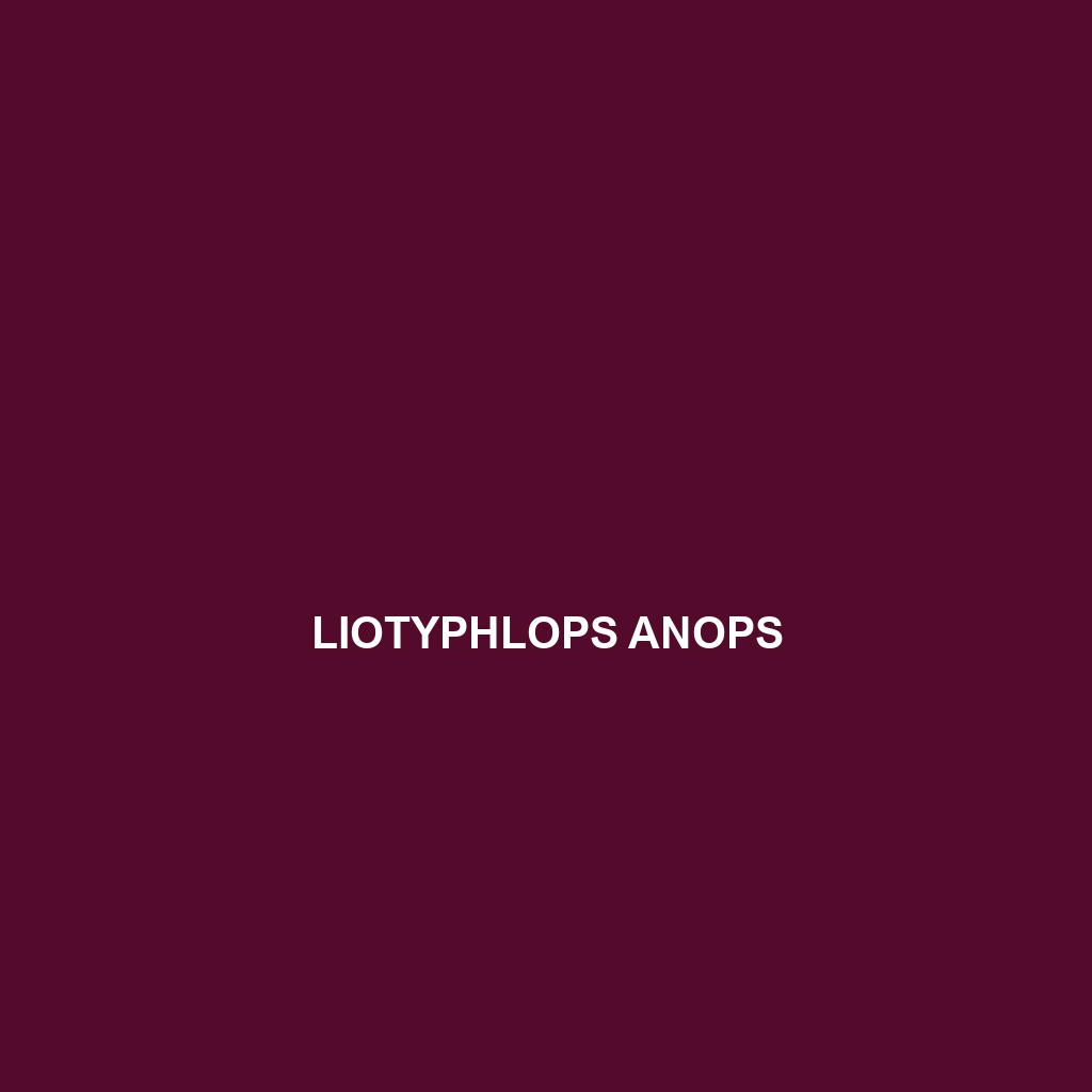 Liotyphlops anops