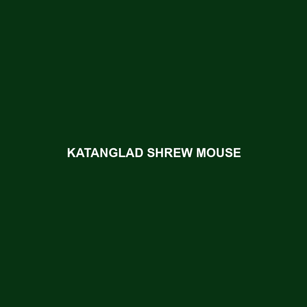 Katanglad Shrew Mouse