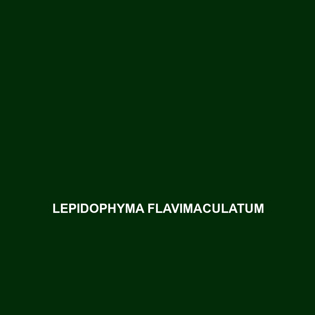 Lepidophyma flavimaculatum