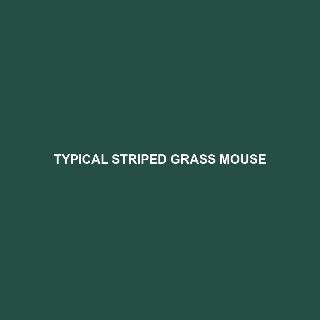 Typical Striped Grass Mouse