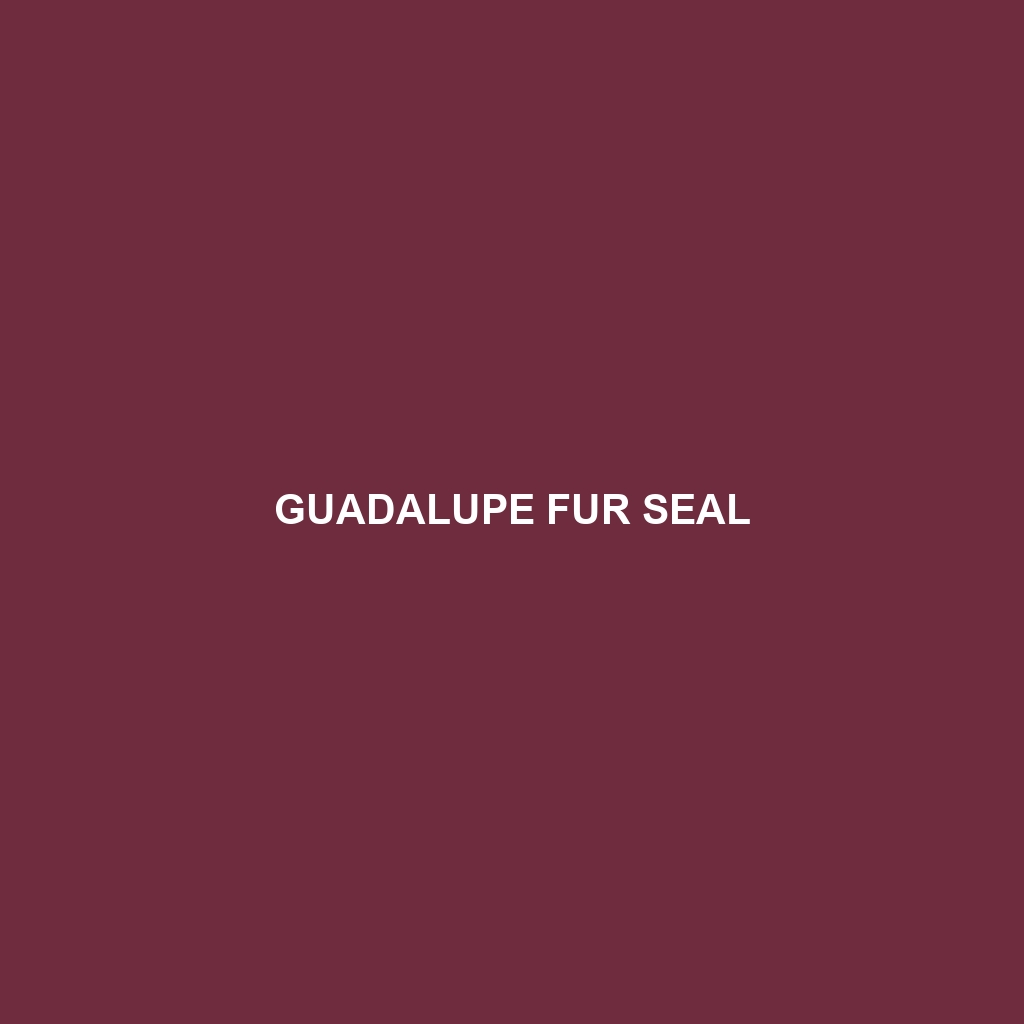 Guadalupe Fur Seal