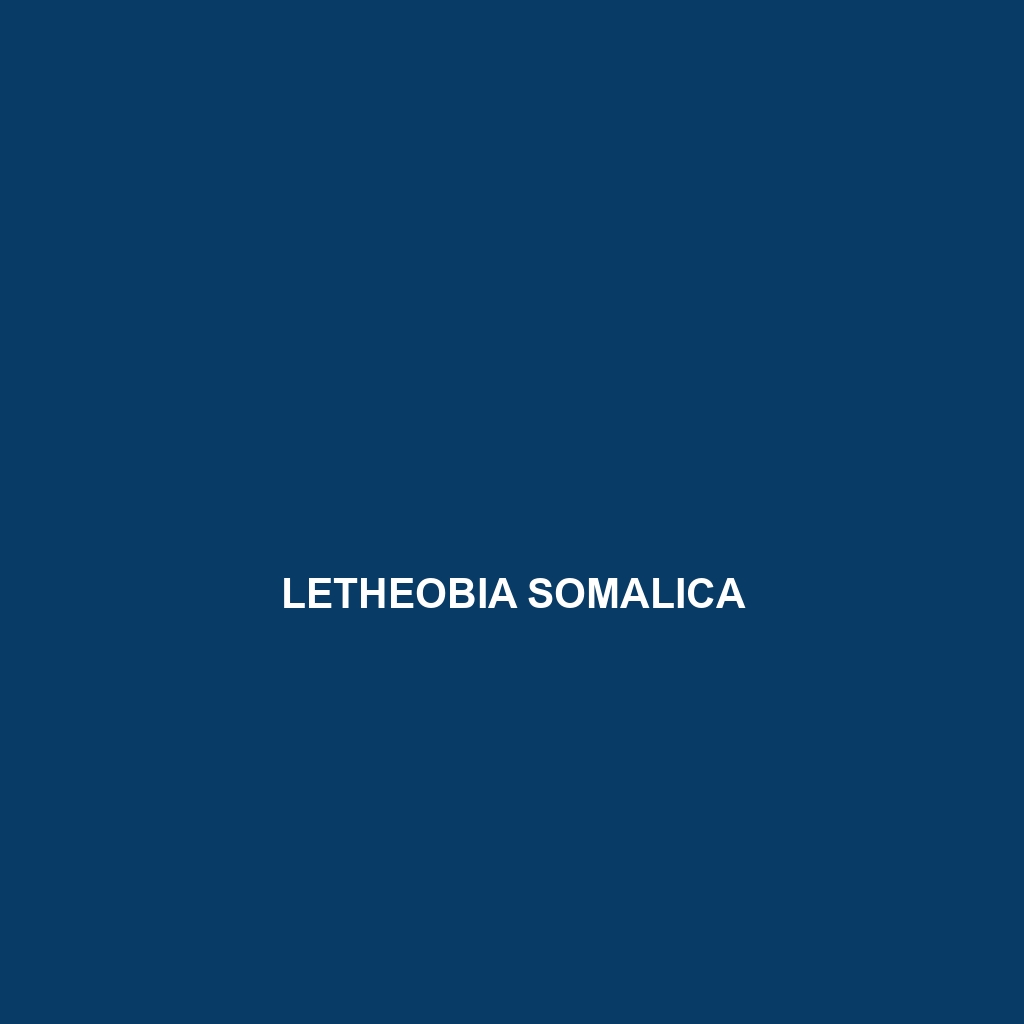 Letheobia somalica