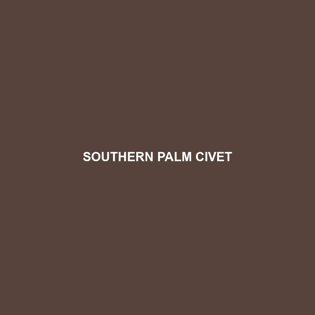 Southern Palm Civet