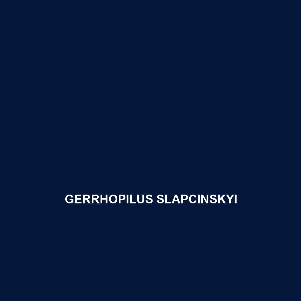 Gerrhopilus slapcinskyi