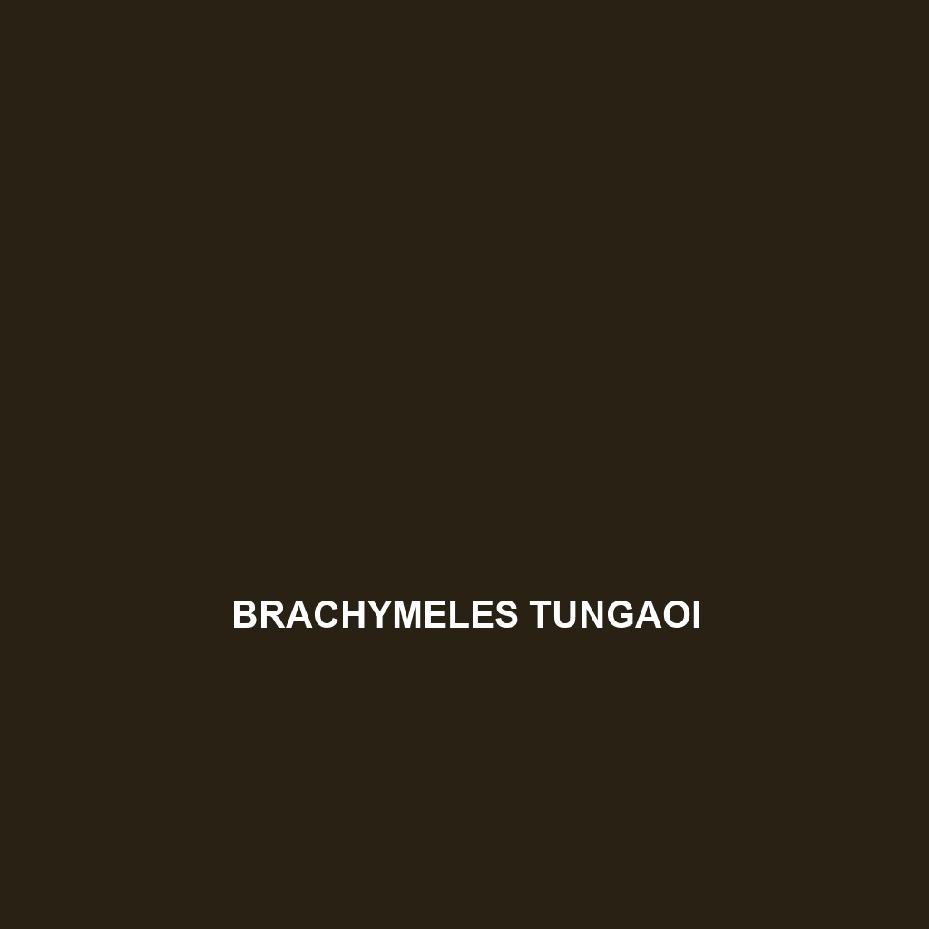 Brachymeles tungaoi