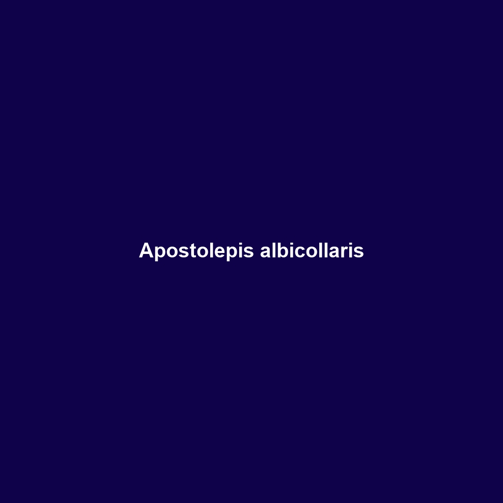 Apostolepis albicollaris