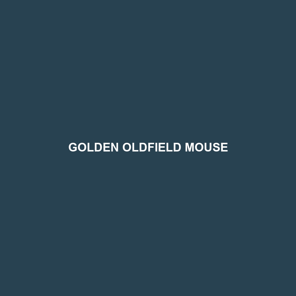 Golden Oldfield Mouse