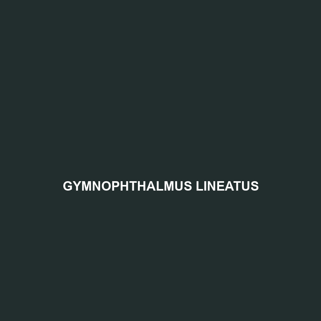 Gymnophthalmus lineatus